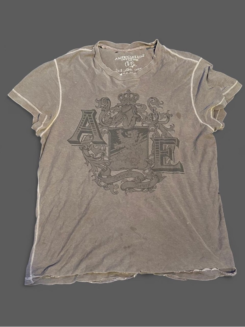 American Eagle Outfitters Women’s Gray Short‑Sleeve Graphic Tee
